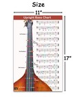 Qmg Upright Bass Fingering Chart With Color-coded Notes  Double Bass Chart 11x17
