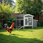 Outdoor Chicken Coop Rabbit Hutch Wooden Hen House W  Nesting Box   Tray Poultry