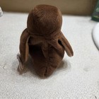 Ty Beanie Baby Hoot Owl