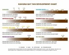 Kahuna Bay Hawaiian Blend Salon Professional Spray Tan Solution