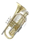 Yamaha Ycr-2330 Cornet Yellow Brass Gold Lacquer Used With Case
