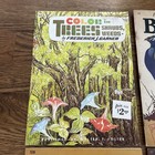 Lot 4 Vtg Walter Foster Art Instruction Books Draw Paint Junk Journal Birds Tree