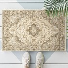 Area Rug 2x3 Washable Rug Door Mat Vintage Distressed Rug Doormat 2 3 Brown