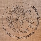 Vintage Joan Moshimer Burlap Hook Rug  cs58 Fruit Two Printed Canvas