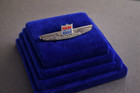 United Airlines 1950 s Logo Junior Wings Pin Badge - Air Lines Jr  Stewardess
