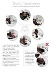 White Badger Hair Brush  Straight Cut Throat Razor  white  Shaving Set 4 Him