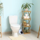 Mainstays Toilet Plunger   Brush With Caddy 3 Piece Set- White