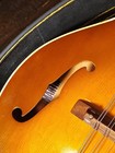 Mandolin Vintage 8-string With Carry Case
