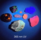 Fluorescent Minerals Collector Set