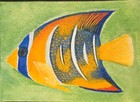 Queen Angelfish     Original Gouache Aceo Mini Painting