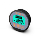 Battery Tester 100a Auto Car Motor Rv Battery Voltage Current Capacity Indicator