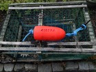 Free Ship 258 Maine Lobster Buoy Nautical Pot Bouy Float Shore Crab Lake Cape