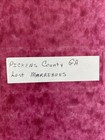 Pickens County  Georgia Marriages 1853-1965 Butler   Pickens Co  Lost Marriages