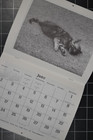 1991 The Roadside Companion Calendar - 12 Months Of Roadkill Photographs - Sick