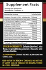 Wormwood Capsules - Candida Away Plus - Most Powerful Antimalarial - 2 Bottle