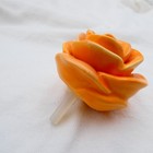 Nora Fleming Mini Ranunculus Flower Orange You Happy A131 Retired  As Is