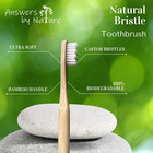 Natural Bristle Toothbrush  4-pack   Ultra Soft Castor Bean Bristles  100 