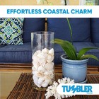 White Sea Shells For Crafting   Decorating  Seashells For Crafts  1 Pound