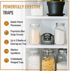 Dr  Killigan s Premium Double Potent Pantry Moth Traps With Pheromones Prime  St
