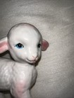 Mid Century Lefton Lamb Figurine Ceramic White Easter Vintage Sweet Baby