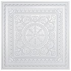 Art3d 12-pack Pvc Drop Ceiling Tiles 3d Wall Panels 24 x24  Cover 48 Sq ft