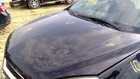 local Pickup Only  Hood Fits 10-17 Equinox 10281852