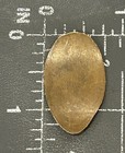 Magic Kingdom Walt Disney World Winnie The Pooh Elongated Pressed Smashed Penny