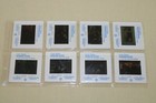 Rosewood - 8 Press Kit Slides Ving Rhames Jon Voight Don Cheadle Rare