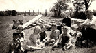 Original Old Vintage Photo Outdoor Family Picnic Gentleman Lady Boys Girls Logs