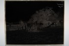 Antique 6x8 Glass Plate Negative Man With Two Horses E10