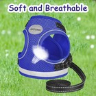 Cat Harness And Leash For Walking  Kitten Escape Proof Harnesses  Adjustable    