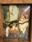 Vintage Rustic Country Look Rough Collie Dog Convex Framed Art 8  X 10 