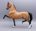 Design A Horse  dah  Buckskin Saddlebred Fcm Body - Sept  2024 - Satin Finish