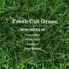 Mrs  Meyer s Clean Day Premium Scented Oil  Fresh Cut Grass  2 Refills