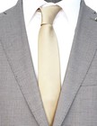 Skinny Ties For Men  Solid Color 2 5 Inch Slim Neckties 1 Or 5 Pack Plain Tie