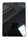 Apple Ipad Mini 3 A1599 64gb Wi-fi 7 9 Space Gray Black  Reset Tested Grade A
