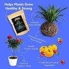 Mycorrhizal Fungi For Soil  Root Stimulator For Plants  Ultra Concentrated Mycor