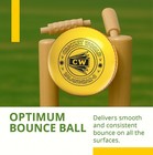 Cw Indoor Yellow Cricket 2 Piece Ball   Professional Leather Hand Stitched Ball