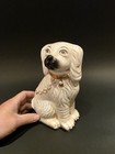 8  Antique Vintage Style White Staffordshire Spaniel Dog Figurine