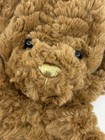 Build A Bear Fao Schwarz Nyc Exclusive Bear Build A Bear Workshop Nwt Unstuffed