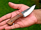 Custom Hand Made Skinning Hunting Knife Edc   High Carbon Steel Blade 2857