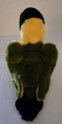 Vintage Steiff Lora Parrot Button   Tag Germany Rare Lovebird 12  Stuffed Plush