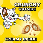 2 Bags Temptations Tasty Chicken Flavor Crunchy And Soft Cat Treats  48 Oz Pouch