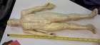 Educ  Tool 4 Learning Tcm 70s Vintage Chinese Acupuncture Man  Good Health Brand
