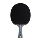  dhs Sports Usa  R4002c 4 Star Carbon Fiber Table Tennis Racket Shakehand W  Bag