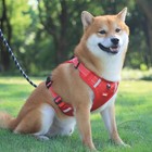 Nylon Dog Harness No Pull Breathable Reflective Pet Harness Vest For Small Large