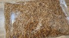 Dried Shrimp Small