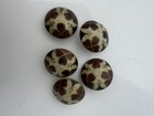 Set Of 5 Antique Art Nouveau Enamel Brass Shank Buttons French  Czech Antique