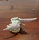 Enchantica En2128 Addax Dragon Figurine 1998 Collectors Club