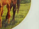 The First 1st Day Fred Stone Decorative Plate Mare And Foal Colt Mom Baby Horse